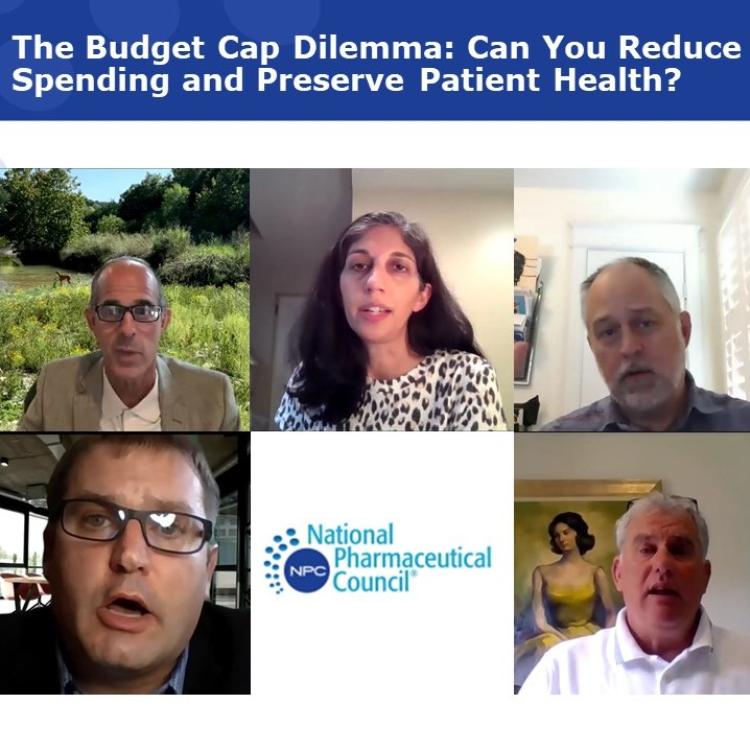 Webinar on Budget Caps