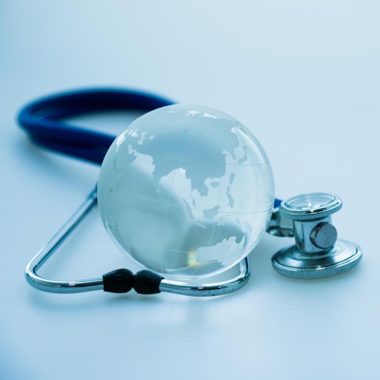 International Health Care Issues